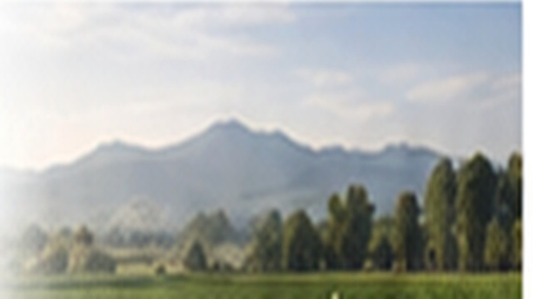 Paisaje agrícola